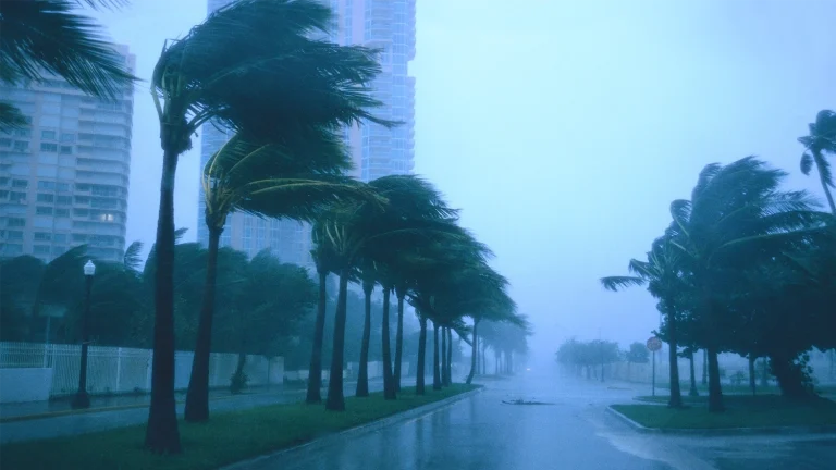 Safeguarding What Matters: The Importance of a Safe During Natural Disasters