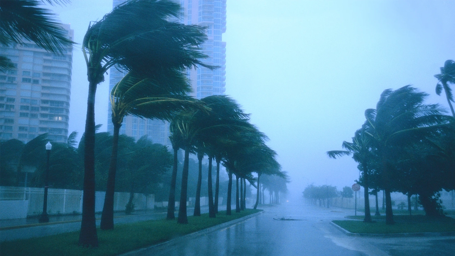 Safeguarding What Matters: The Importance of a Safe During Natural Disasters